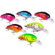 Micro Square Bill Crankbait Lure For Bass Trout Walleye Saltwater Freshwater Fishing