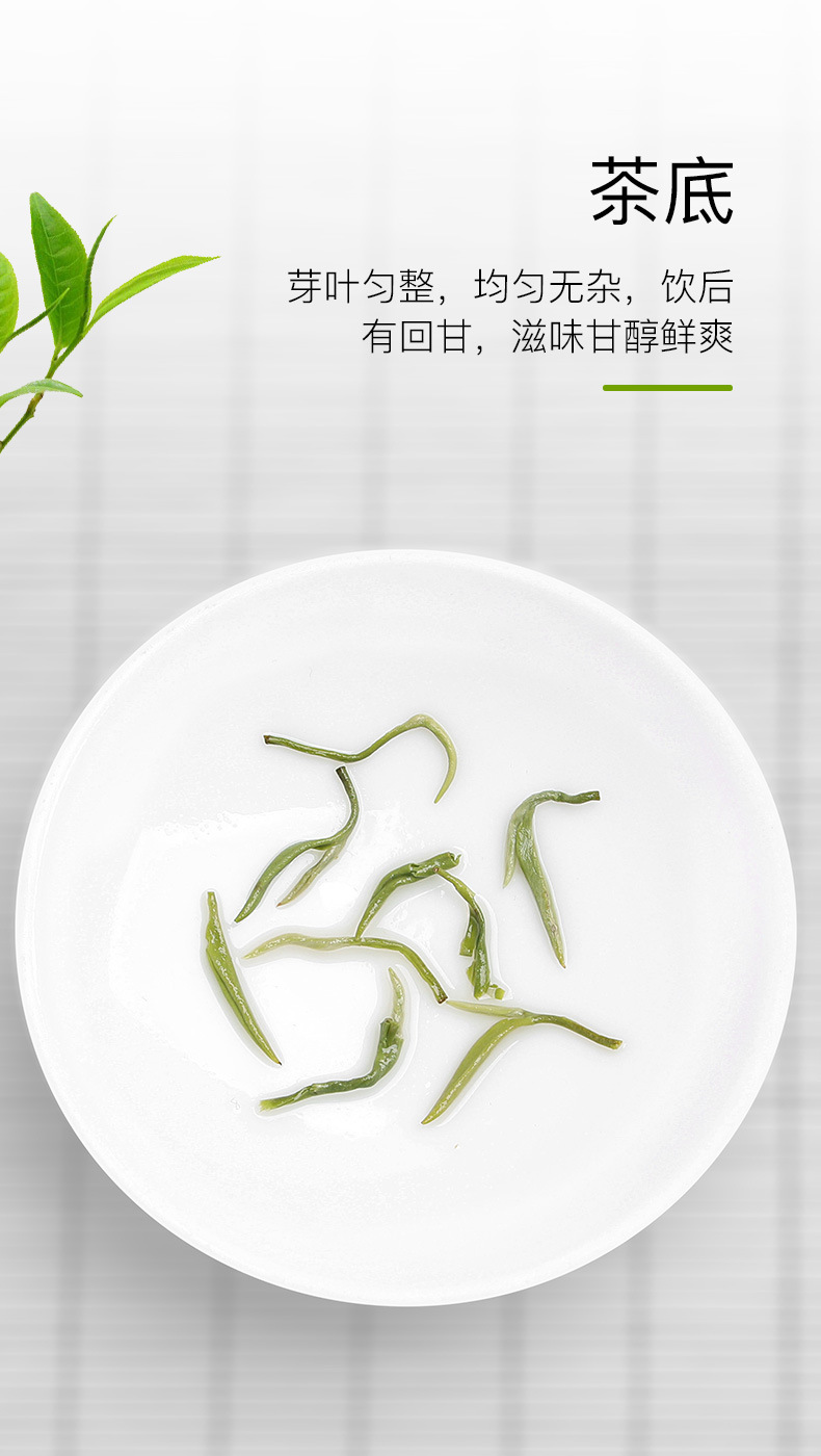 绿茶(碧螺春芯子1#)_05