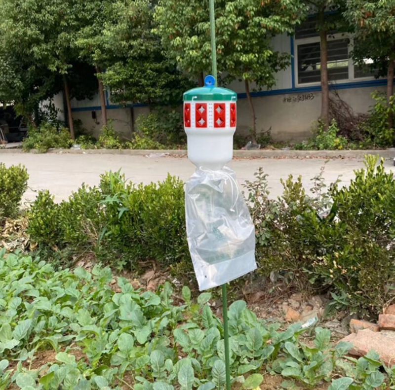 大量現貨斜紋夜蛾甜菜夜蛾誘捕器信息 夜蛾類昆蟲信息素引誘劑