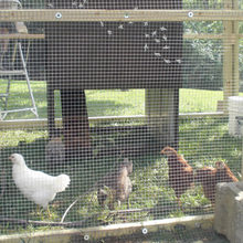 9001认证厂价直销养鸡场鸡舍建设铁丝围栏现货