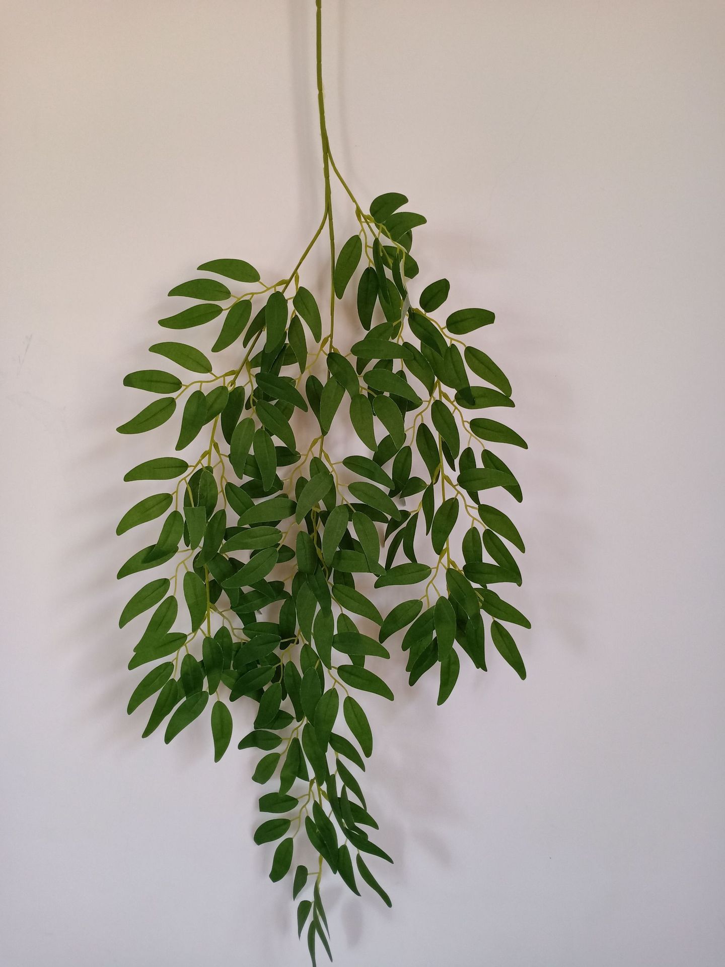 Saved PicturesIMG2020042912545