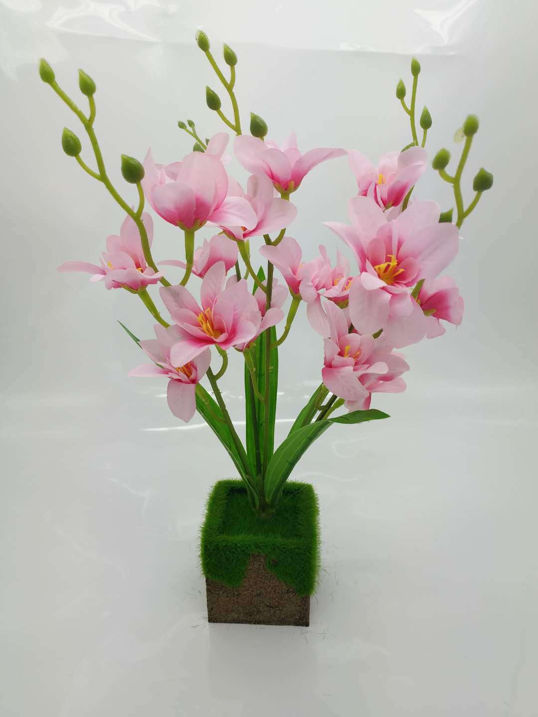 WeChat 圖片_20200704113652