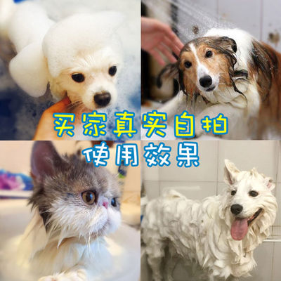 Dogs Shower Gel Teddy Bichon Golden Retriever Samoyed sterilization Deodorization Dedicated Bathing solution Pet shampoo Supplies