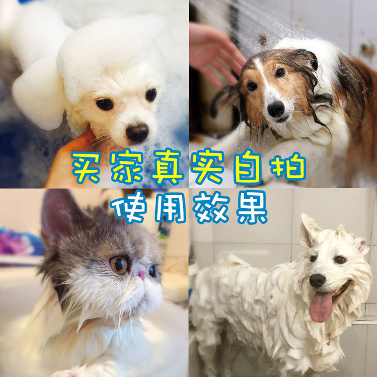 Dogs Shower Gel Teddy Bichon Golden Retriever Samoyed sterilization Deodorization Dedicated Bathing solution Pet shampoo Supplies