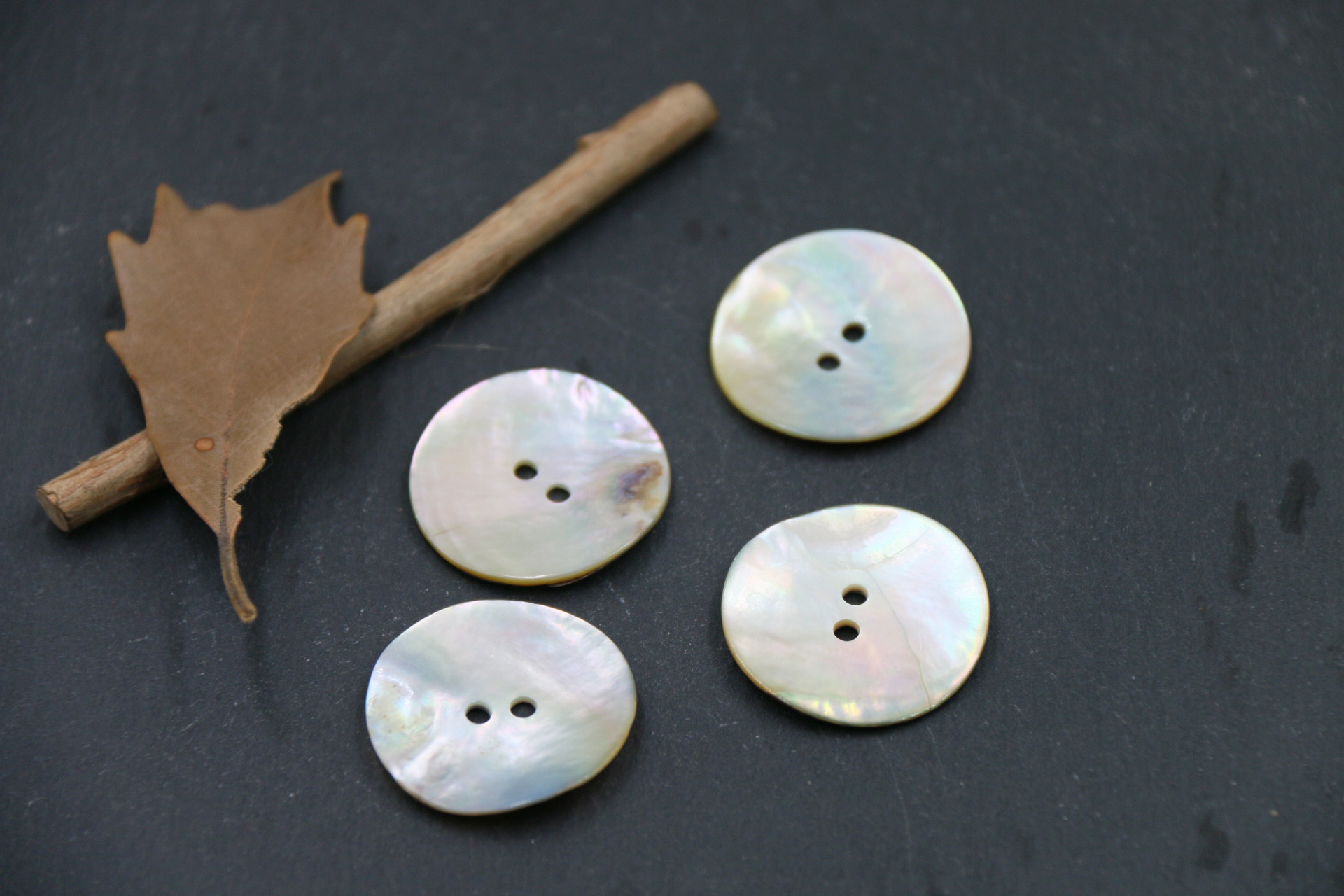 两眼马司贝 (2).JPG