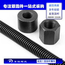 �S�ҹ����ߏ������ο۽z�� T�ͽz�U �������l ���ݼy�ݾ�ȫ������