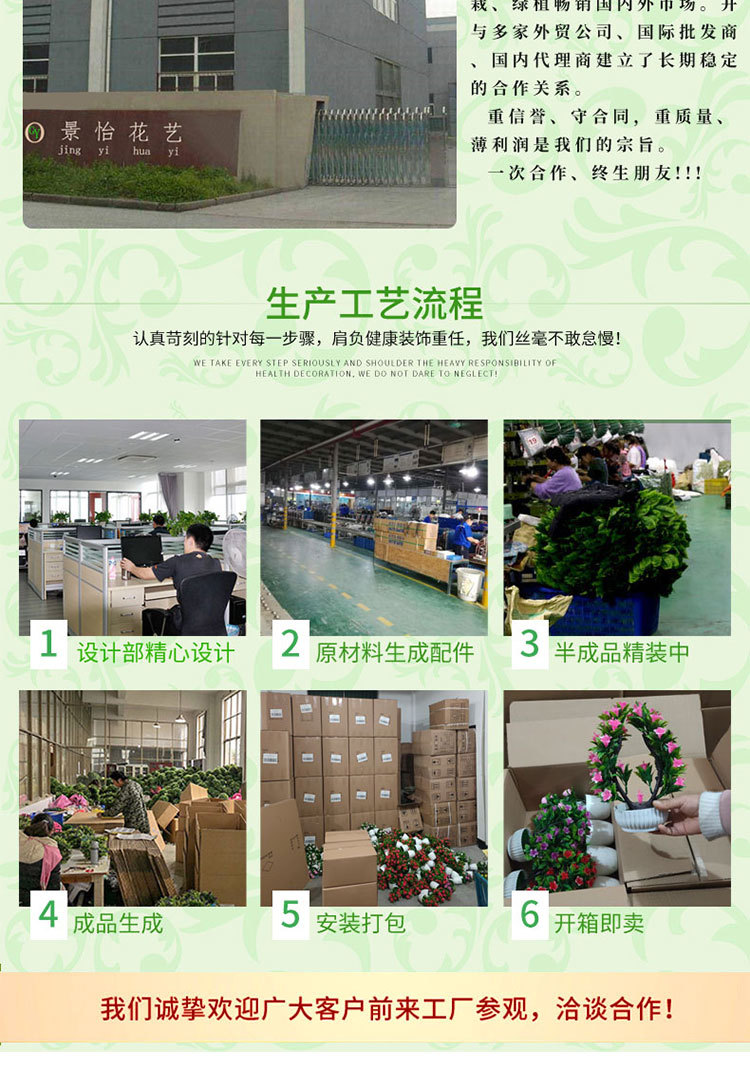 郁金香整体详情_02