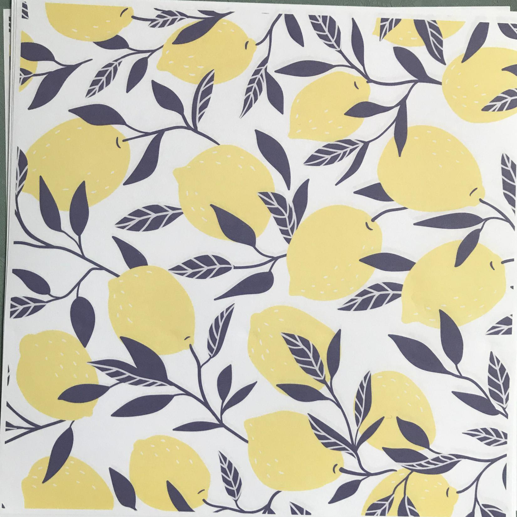 IMG_1546_极速看图