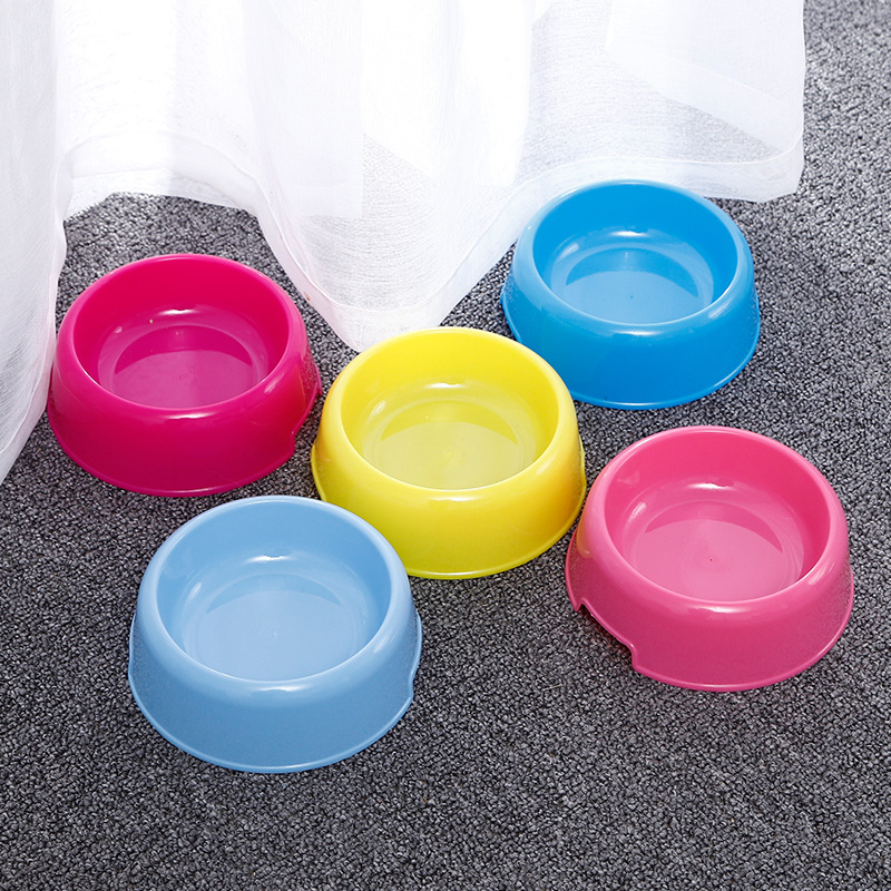 质塑料宠物碗 糖果色宠物食具2