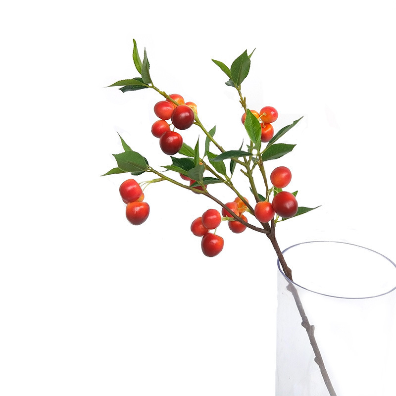 XRG-024 小5叉大樱桃0.5米.jpg