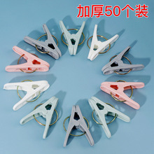 塑料夹子批发50个装晾衣夹袜子防风宿舍挂衣晾晒儿童裤夹