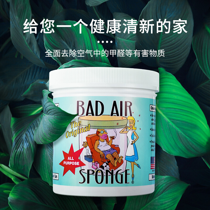 美國Bad Air Sponge空氣淨化劑淨化新家裝修新車污染400g一件代發