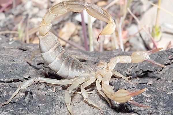 57dbcc8c92434ac8974d3dfe9f1800