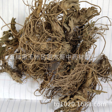 ��đ�^ ��đ�ݿ��đ���ѷ� �ؔ��^ ��Ь�� ȫ����Ʒ