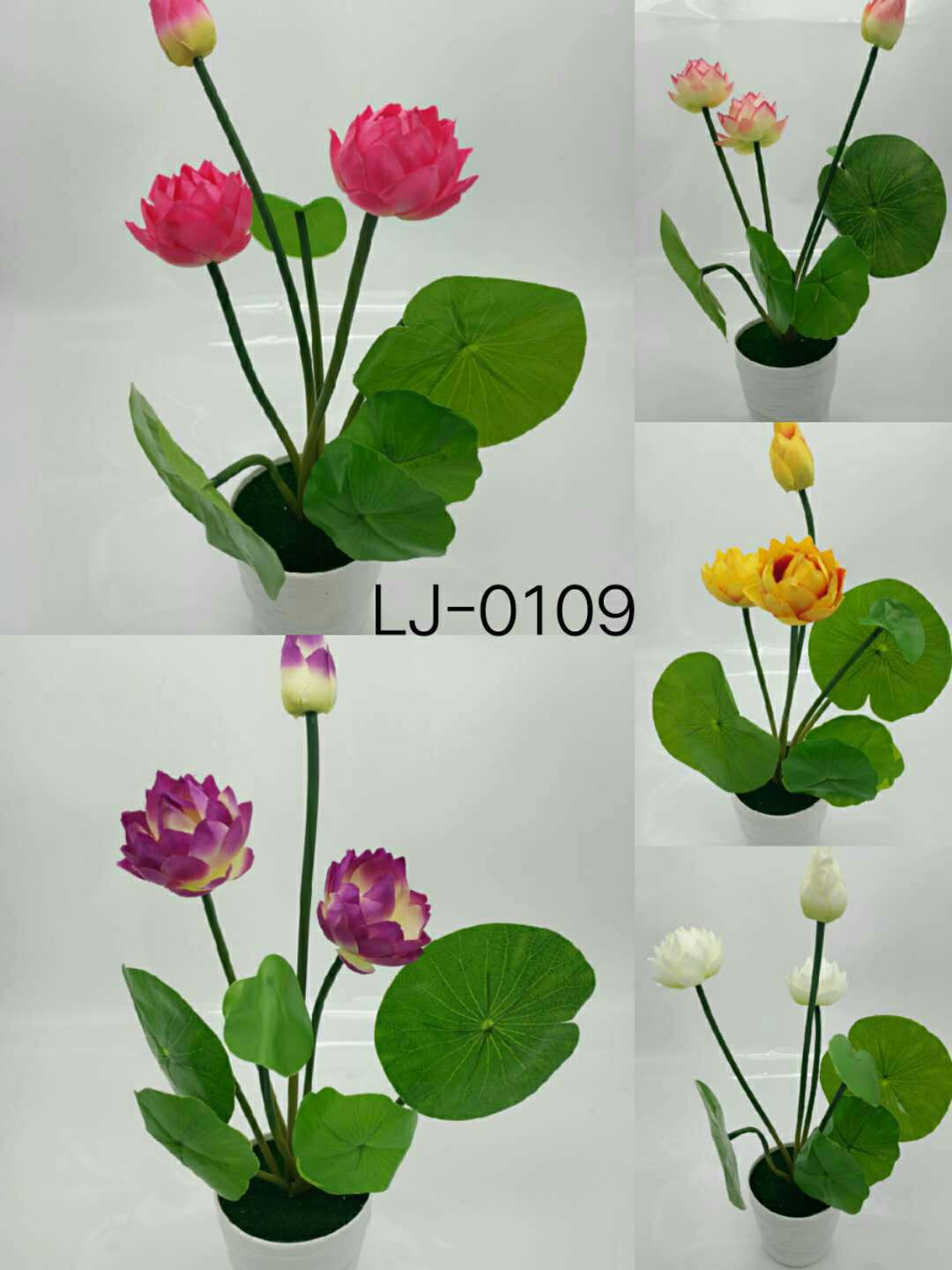 WeChat 圖片_20200704121143