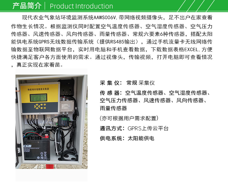 AAWS006V_01 (2).jpg