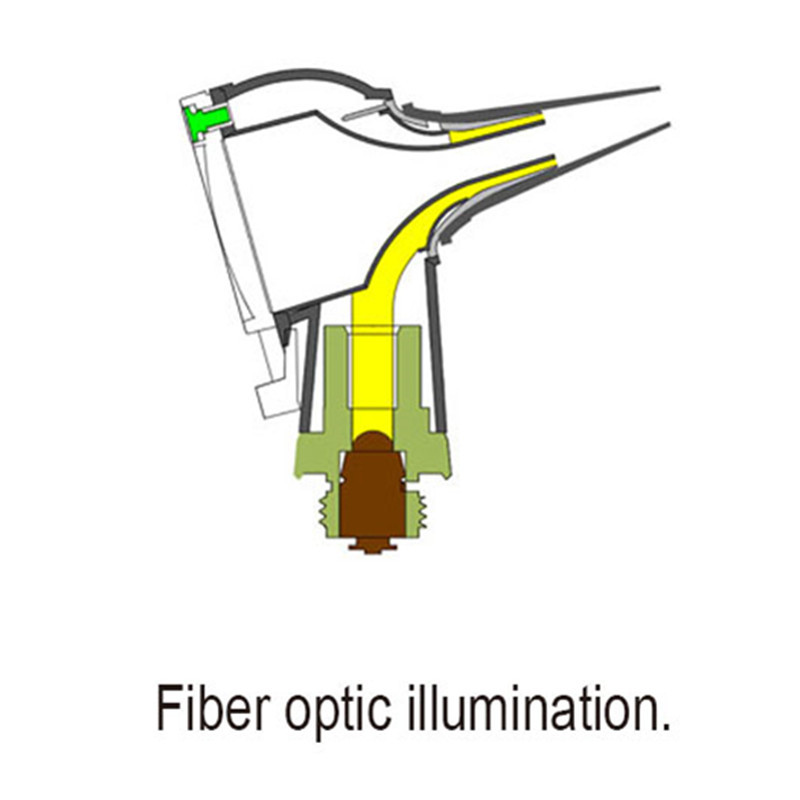 6检耳镜T与D_副本3