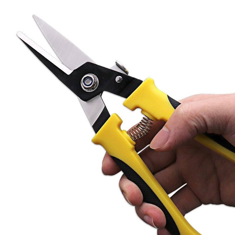Scissors, wholesale