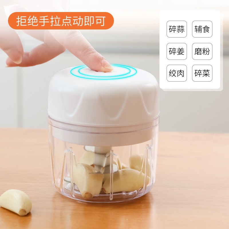 阳光の味道 跨境100ml家用迷你多功能电动蒜蓉机小型打蒜器绞肉机