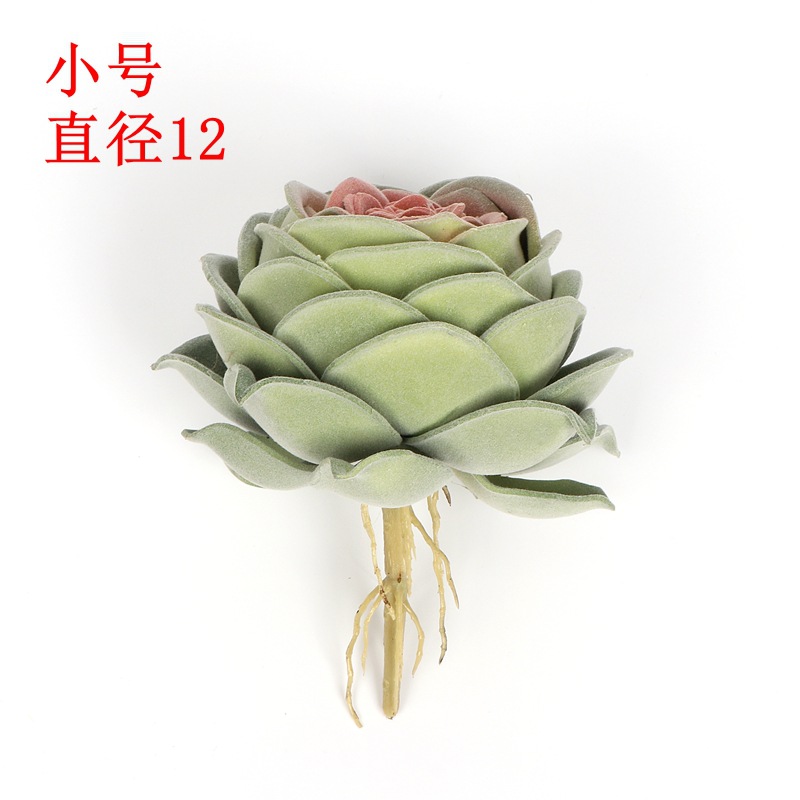 Rose flower