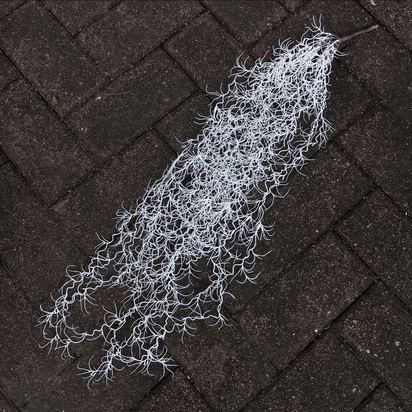 B4B24F0F9A10255774F9AC37890936