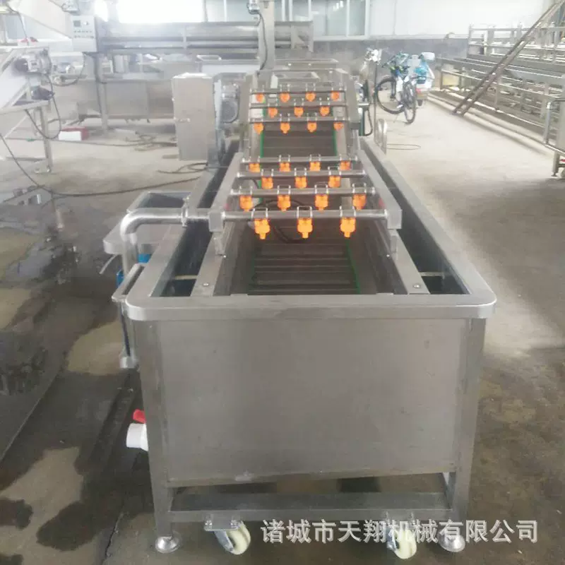 果蔬气泡清洗机 蔬菜气泡喷淋清洗机 全自动大姜气泡清洗机设备