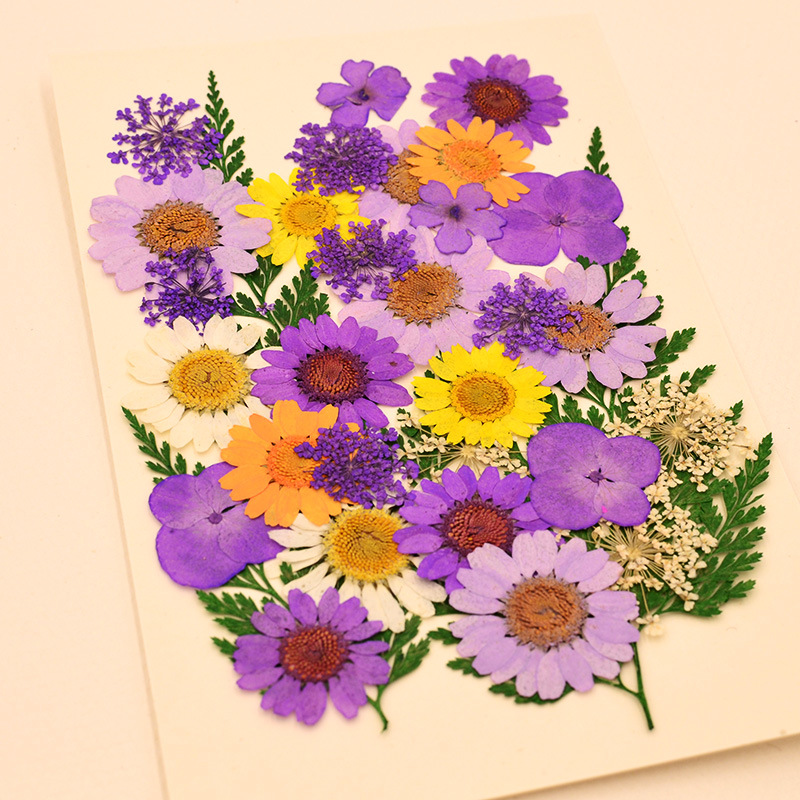外贸DIY干花植物材料包 混合标本真花相框蜡烛手机壳滴胶书签|ms