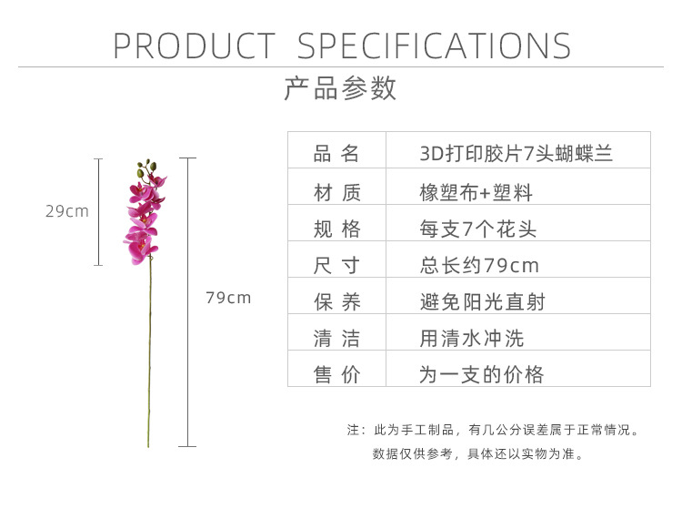 7头蝴蝶兰_02.jpg