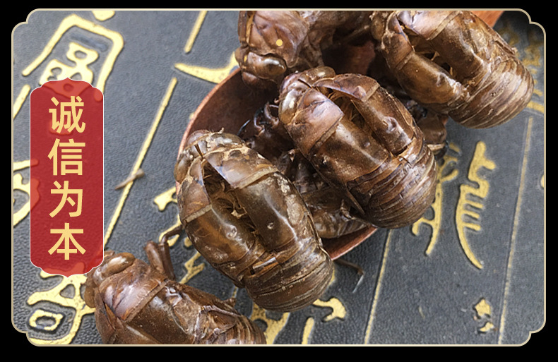 Cicada Slough Chan Tui 蝉蜕 Dried Whole Molts Traditional TCM Herb 500g Washed and Sun Dried in use