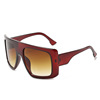 Trend capacious universal sophisticated sunglasses, lens, European style