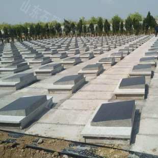 ���Ϲ�Ĺ��ɫĹ���ɶ��� ʯʯ�� ʯ��ĹѨ�ɶ���