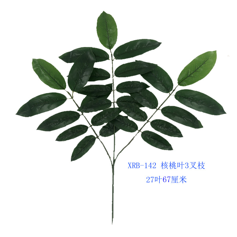 XRB-142 核桃枝三叉平面2