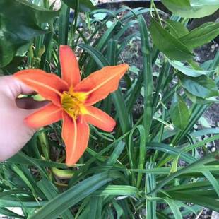 ����ݻ���ͥԺ������ľ�@���ļ��^�p�޸�����ֲ������������