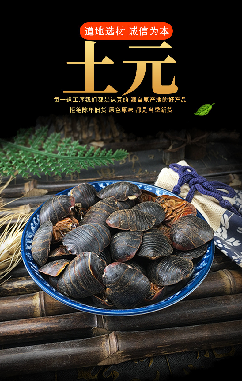 Dried Ground Beetle Tu Bie Chong Whole Insect Traditional Chinese Herb Bulk Dried Decoction Ingredient key features