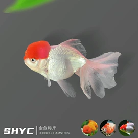仓鼠窝、笼;观赏鱼饲料;观赏鱼