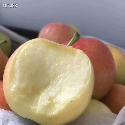 Shaanxi Fuji Apple 5 /9 Pounds loaded 5 pounds 18 Around 9 pounds 30 Around Packaging method paper