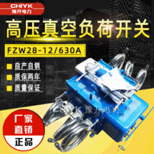 FZW28-12/630Aͻѹոɿ 10kVֽܷ縺ɿ