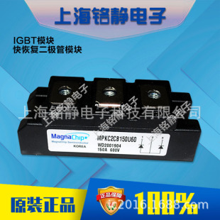 DM2G150SH6NE/DM2G200SH6N/DM2G100SH12AL�n�����lIGBT