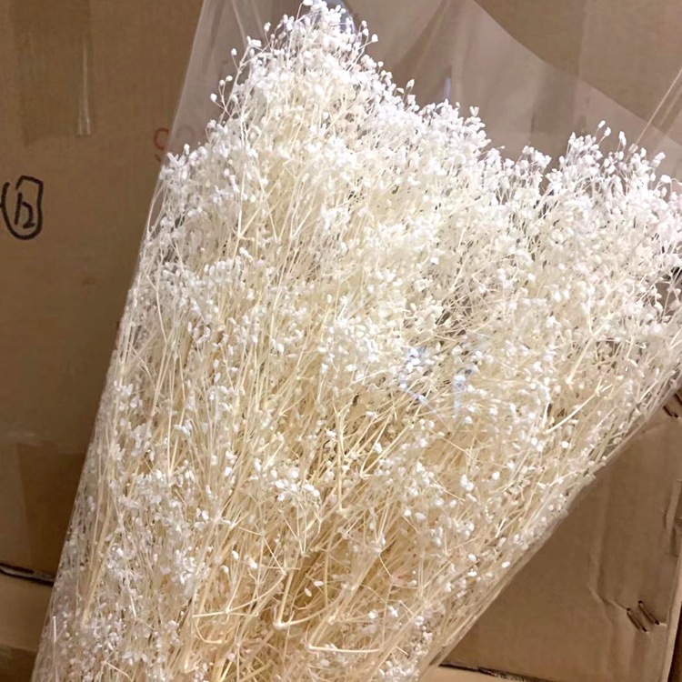 微信图片_20200128225508