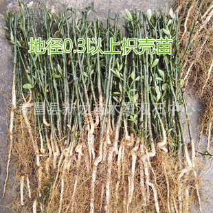 ���l1��2�������� �ך���  �ך���������� ���@�h����������r��