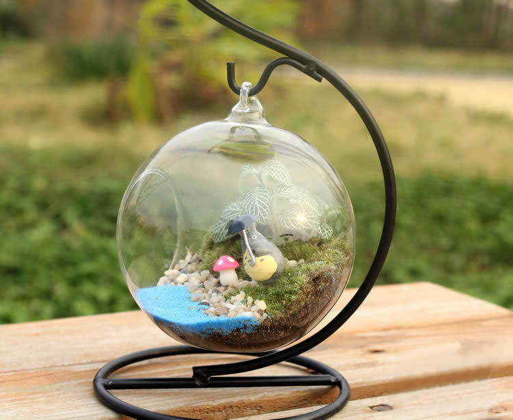 S curvada micro paisaje florero de vidrio florero Marco de hierro creativo mini planta botella de vidrio planta suculenta florero