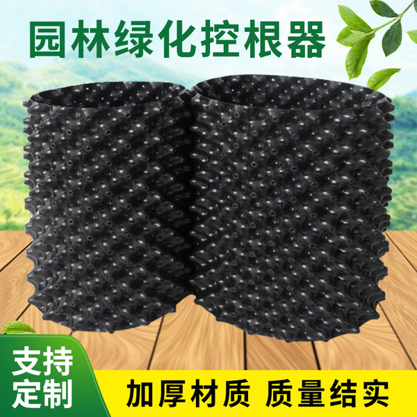 Factory wholesale garden seedlings and wooden roots control trees…