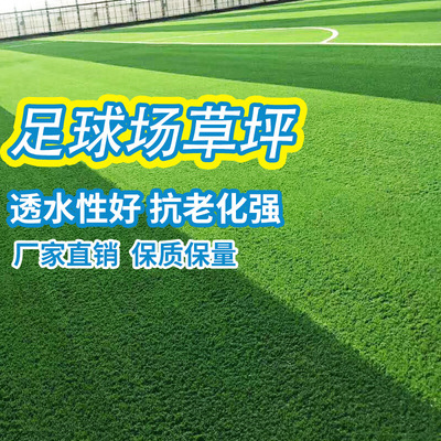厂家直销足球场人工草坪 仿真地毯草 户外人工围挡绿化塑料假草皮|ms