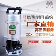 鑫龙QDX系列小型家用潜水泵农用灌溉抽水清水泵220V高扬程大流量