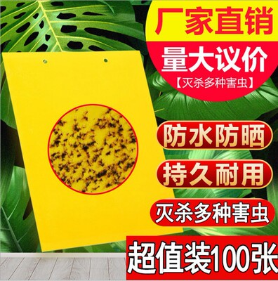 Armyworm board Two-sided thickening Yellow plate Backboard kill Agriculture Vegetables flowers and plants Pests