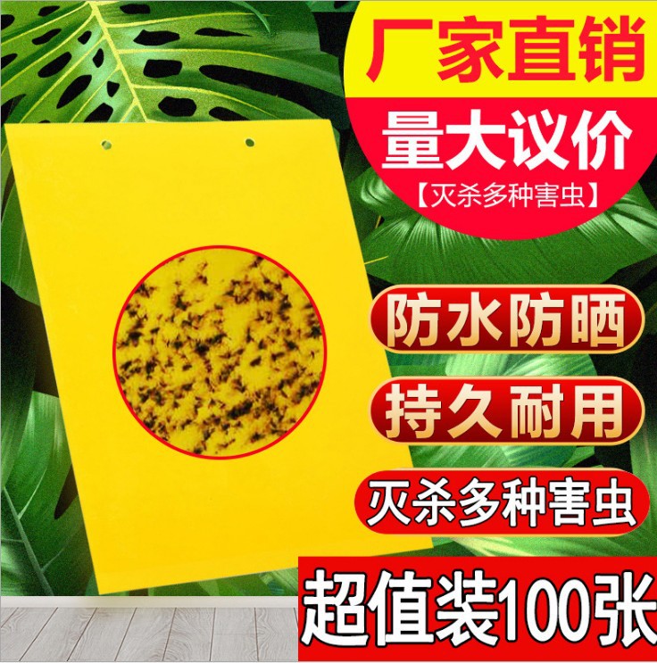 Armyworm board Two-sided thickening Yellow plate Backboard kill Agriculture Vegetables flowers and plants Pests
