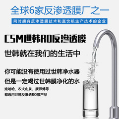 CSM Sehan RO Membrane Household Water Purifier Filter Cartridge 1812-50/75/100/400G Pure Water System for Commercial Use