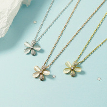 ؈���廨�仨�������n���|�ٴ��荺��s����Ψ���W�t�¿