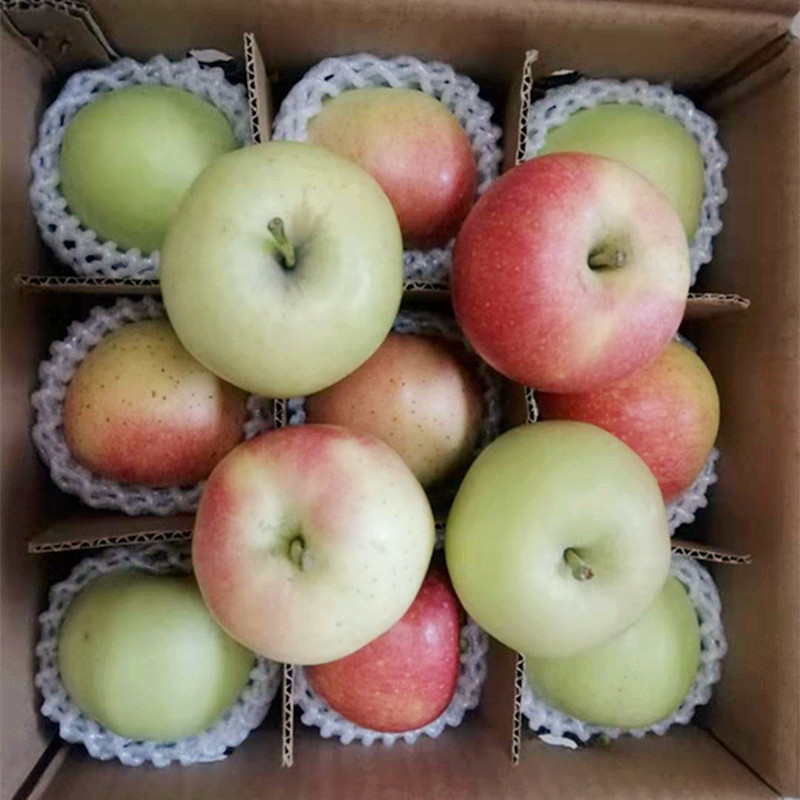 goods in stock Shanxi Gala Apple Gala Apple combination Red Fuji fresh fruit