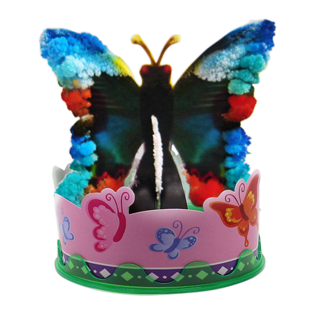 绿色蝴蝶开花过程图-4